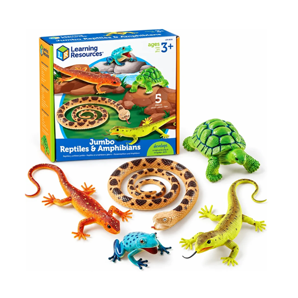 Reptiles y anfibios XL