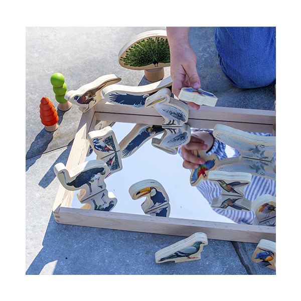 Set 15 bloques madera de pájaros