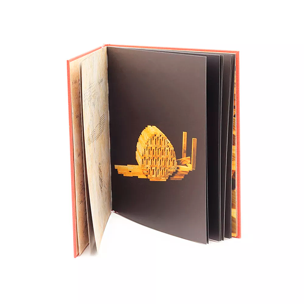 Libro KAPLA construcciones nivel medio